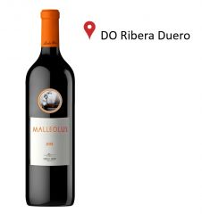 Malleolus 2018