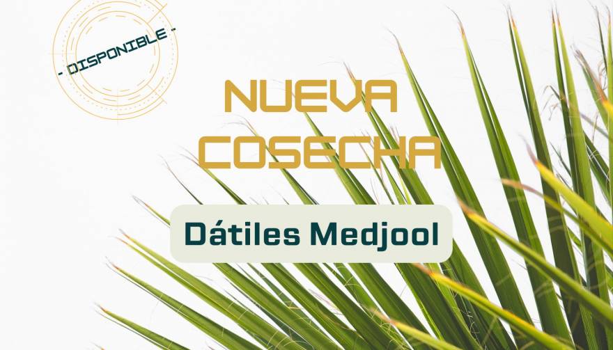 https://www.mercadodelparaiso.com/blog/post/desayunar-con-datiles