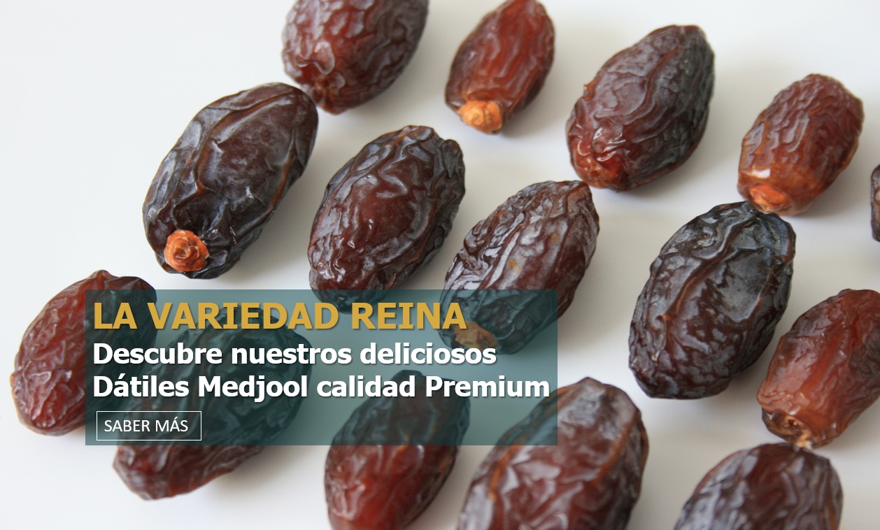 https://www.mercadodelparaiso.com/datiles/medjool.html