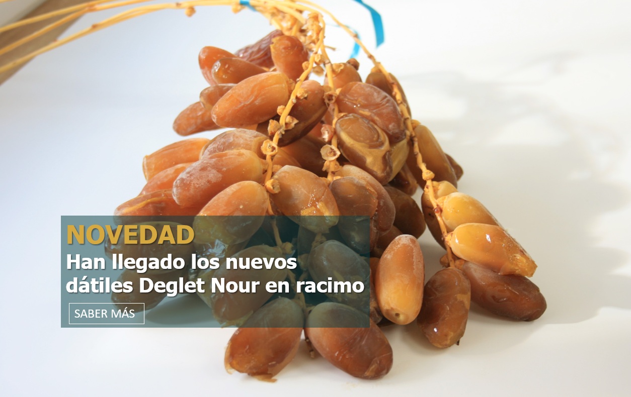 https://www.mercadodelparaiso.com/datiles/datil-rama-deglet-nour.html